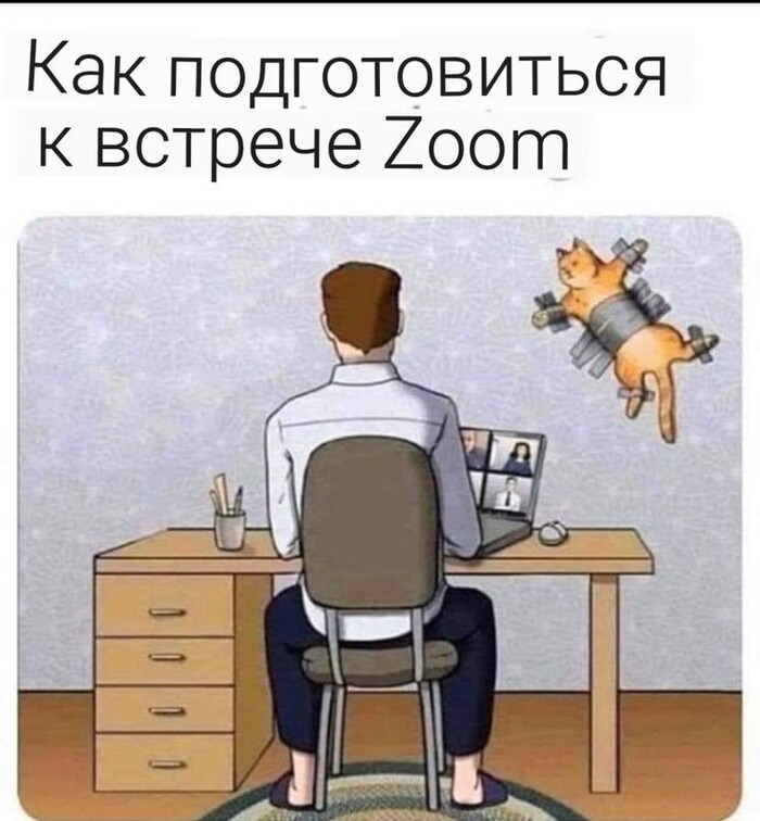      Zoom , , 