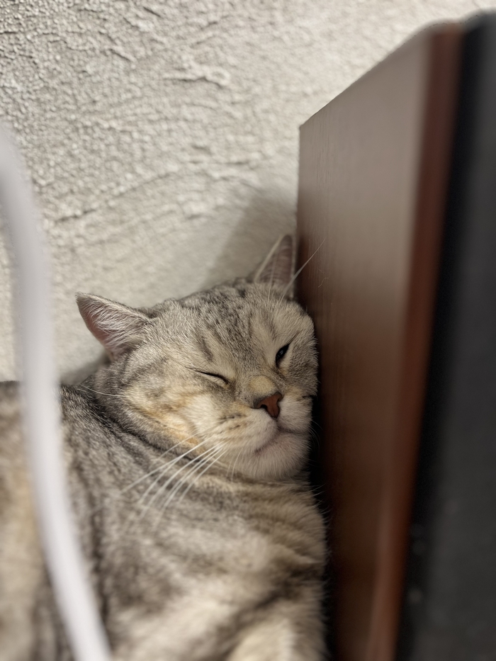   ,   , , ,  , 