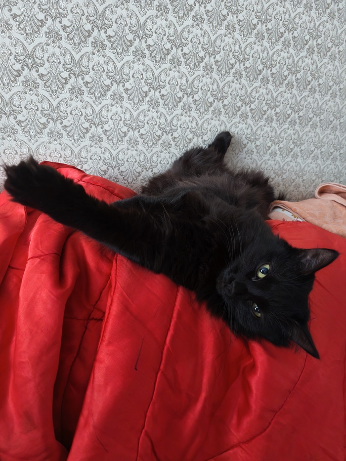 I'm sexy and I know it  , Im sexy and I know IT,  , , 