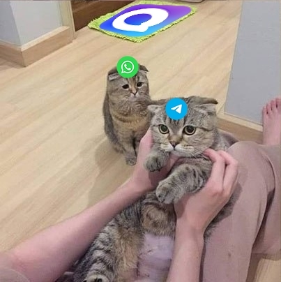 MAX   MAX  MAX, , , , , ,  , WhatsApp, Telegram, , , , , 