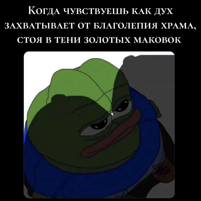    ,      , Pepe, , , Telegram (), , , ,   