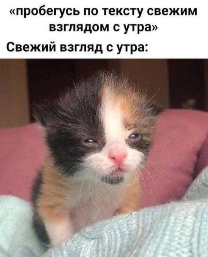 ? , ,   ,  , , , 