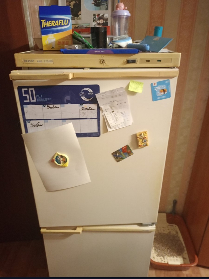 Холодильник — это настоящий член семьи