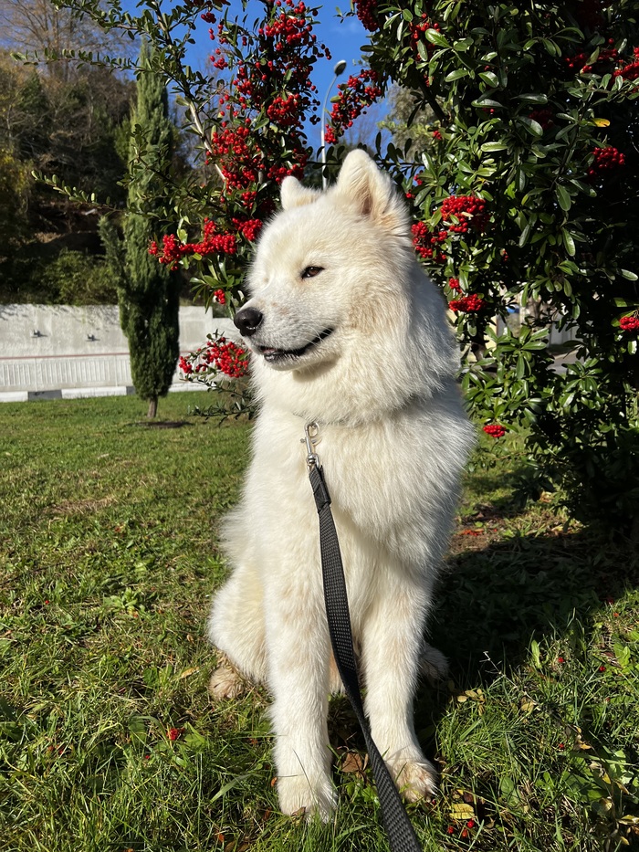 ��������� �����