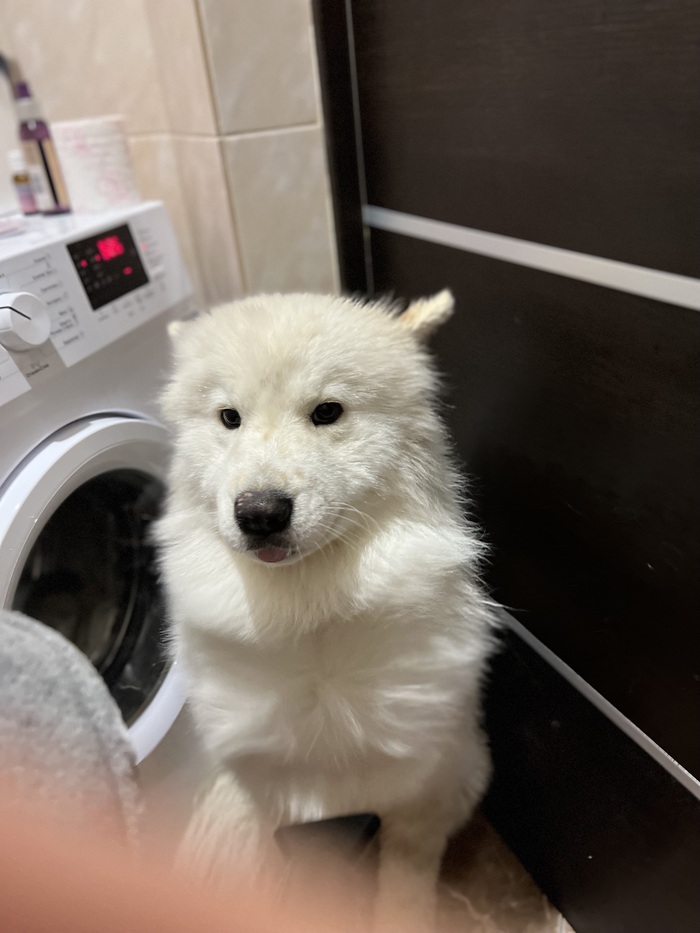 �� ����� ������� �������