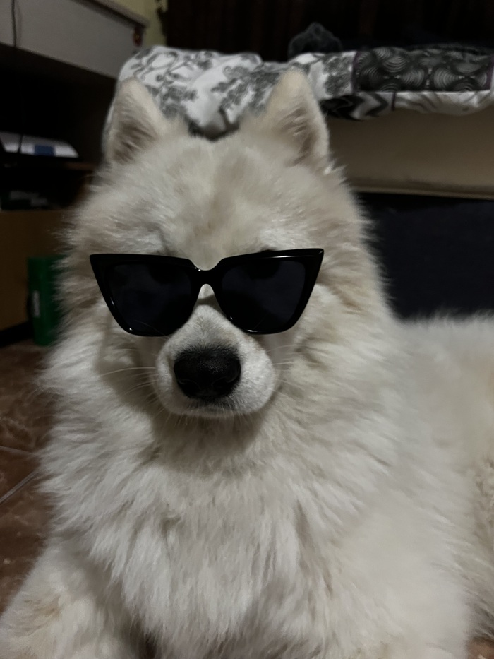 ��� ����