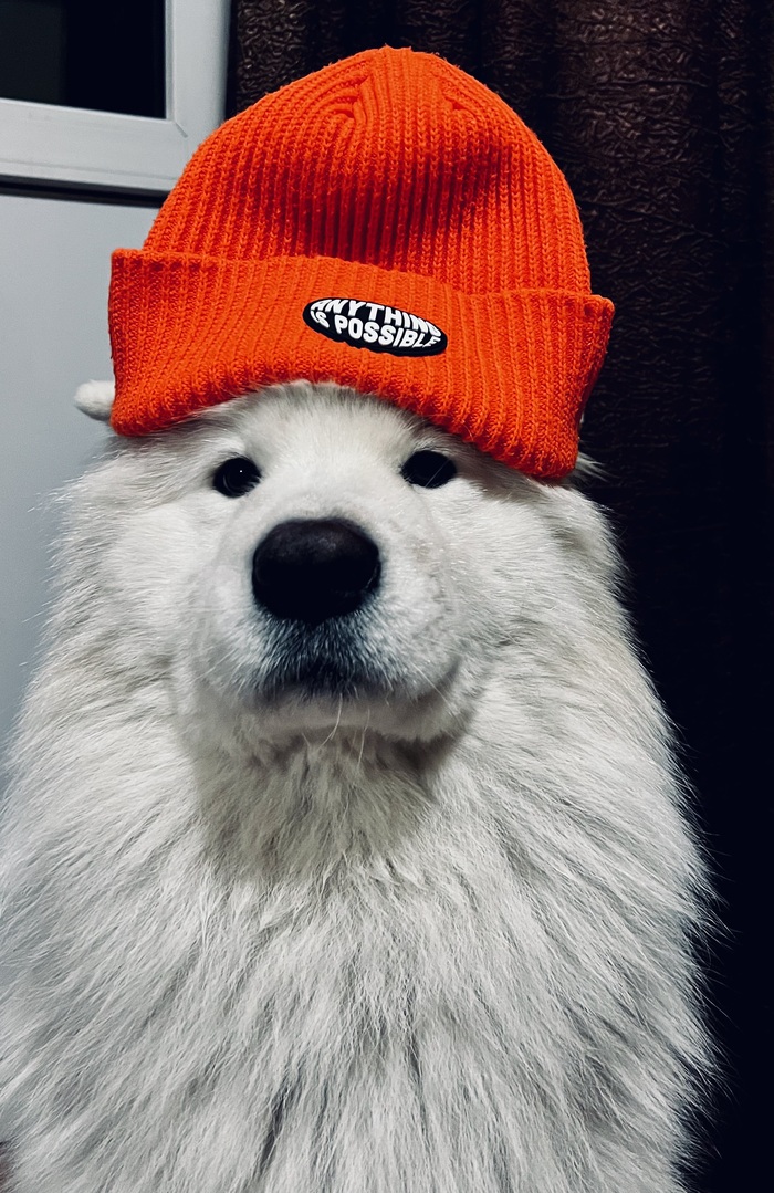 ��� �����