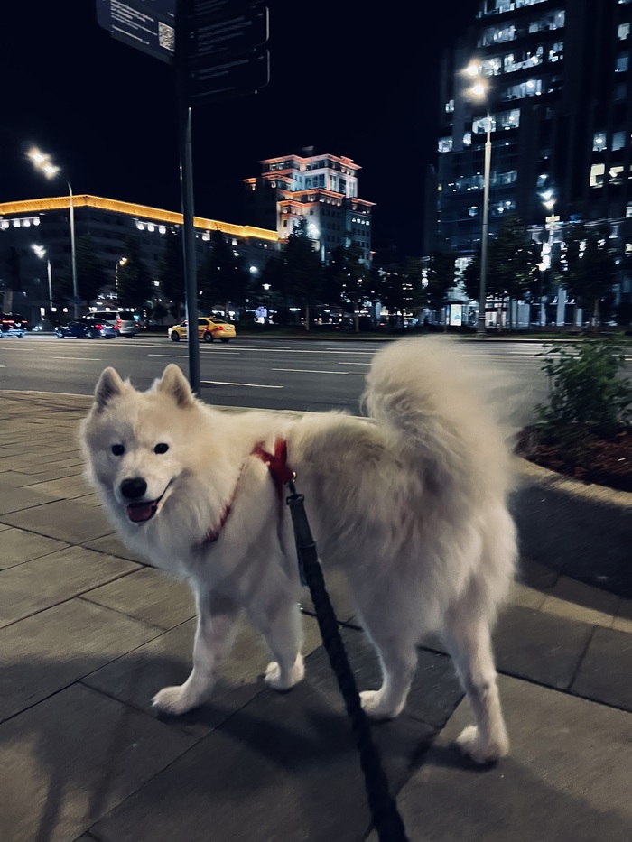 ������ 2024