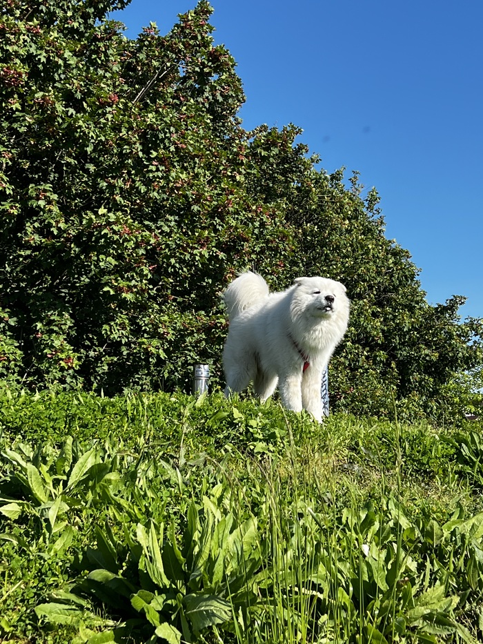 �������� �� �������