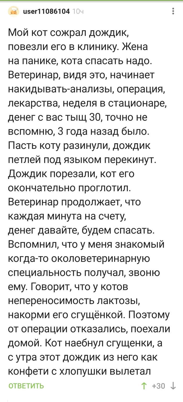 Когда нет денег на ветеринара)