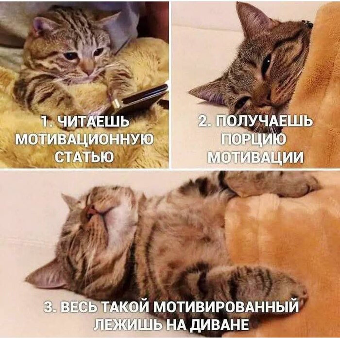  , , , , 