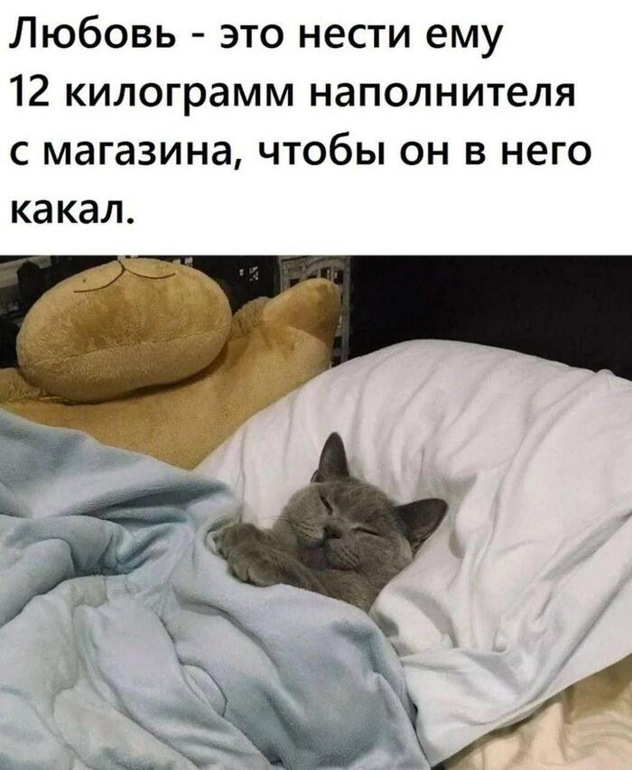     ? , , , 