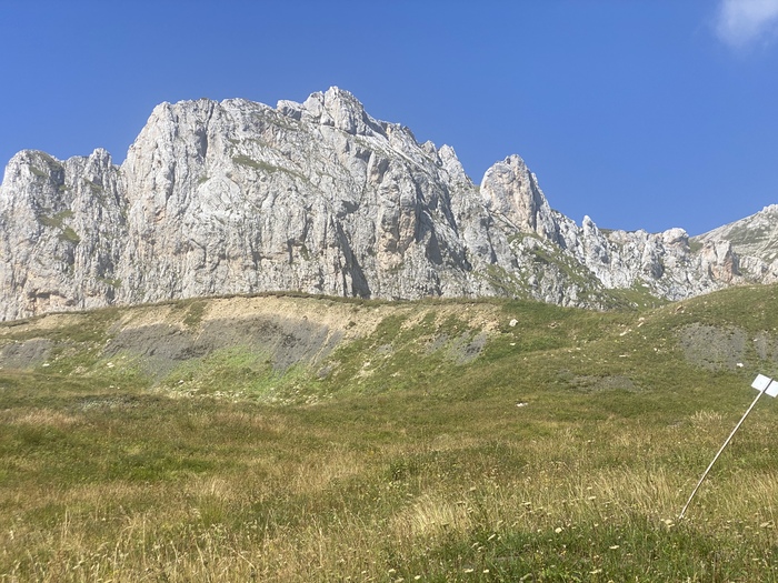 По пути красовался и Оштен