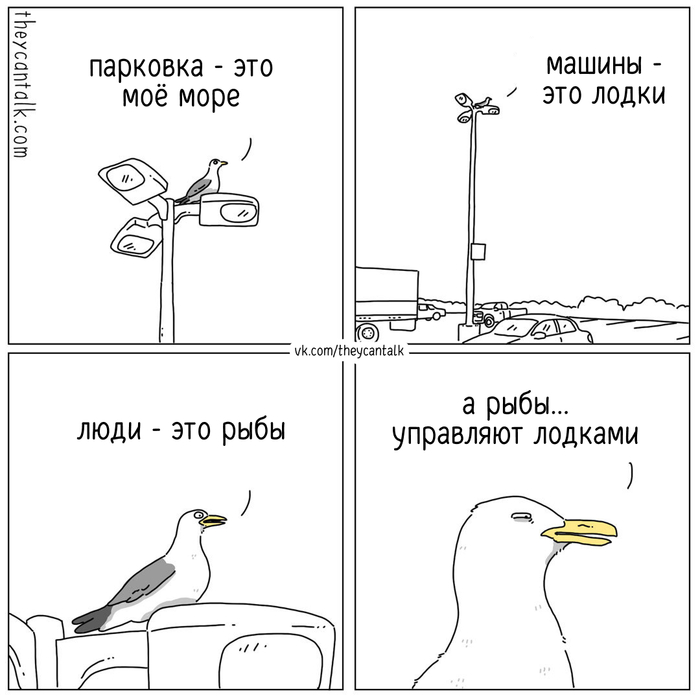  Theycantalk,  , ,  (), Telegram (), , 