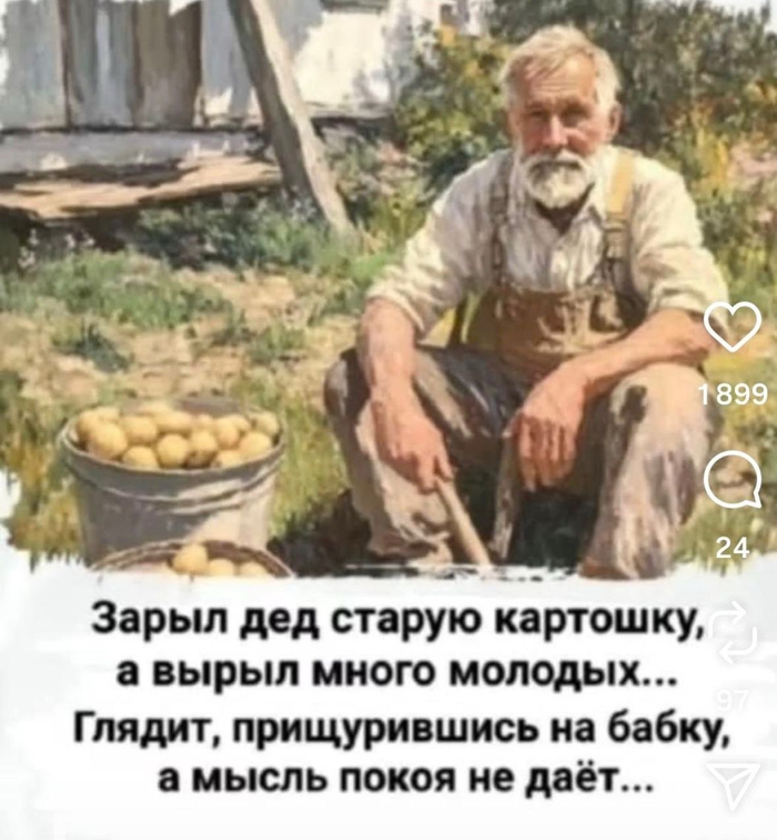   ,   , , , ,   , 