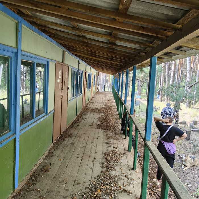 перспектива в молодость