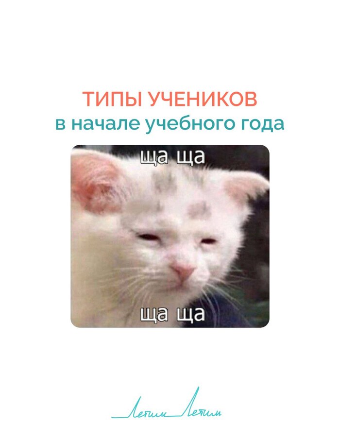       , , , , , , Telegram (), 