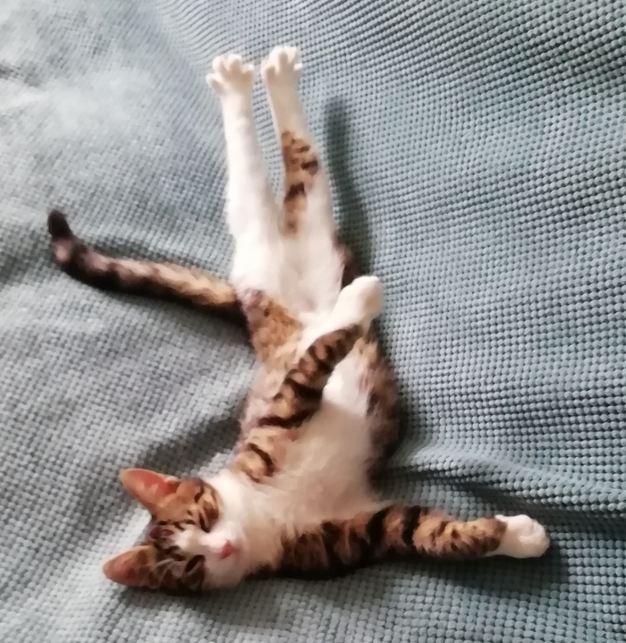 ,      , , , 