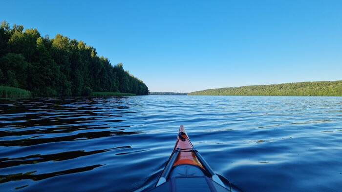 Все, цивилизация позади! Берега теперь дикие-дикие, лес стеной стоит прямо до самой воды. Погружение в природу!