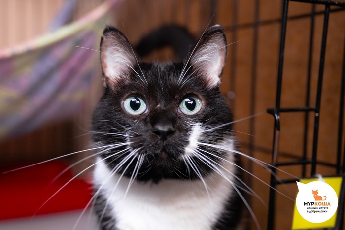   - 5 ,   .  .        - .  ,              .