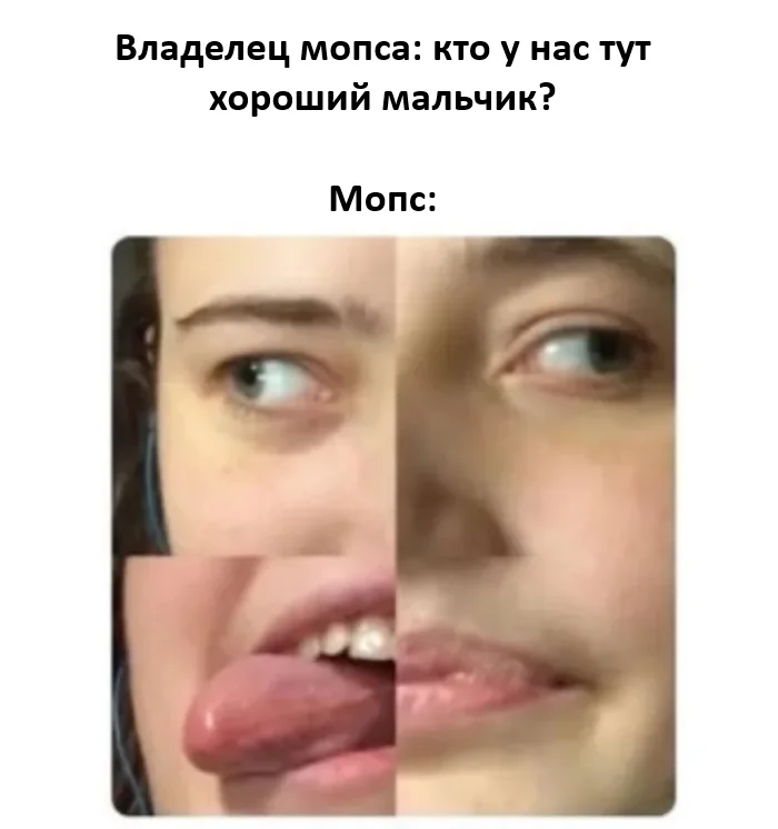 vlpexn42.webp