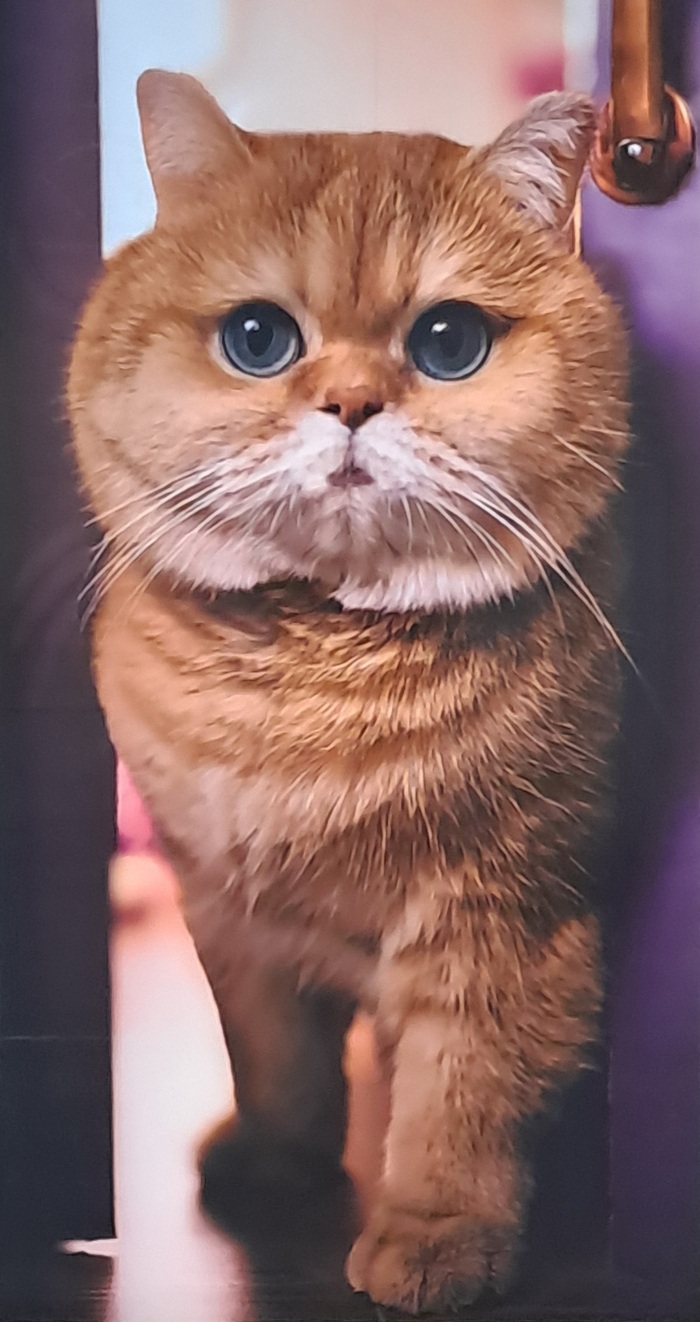      , , , ,  , ,  
