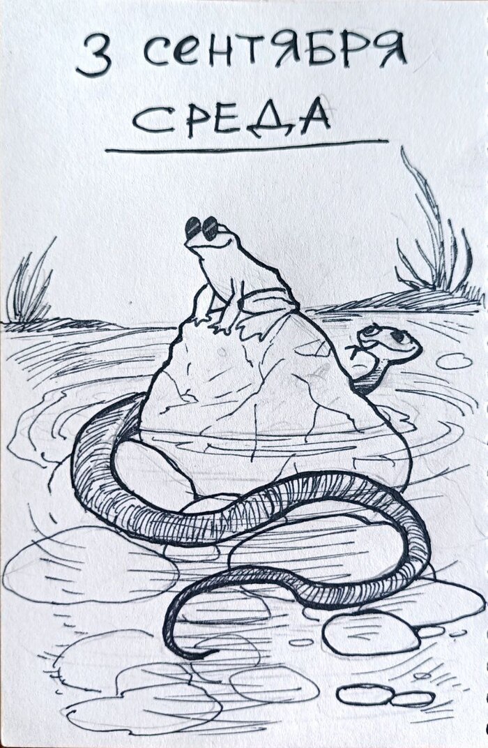  3 , ! It Is Wednesday My Dudes, 3 , , , 