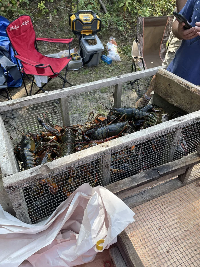 Пикник в оружейном клубе США, Мужская кулинария, Уличная еда, Длиннопост