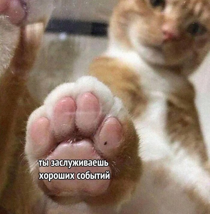  , , 