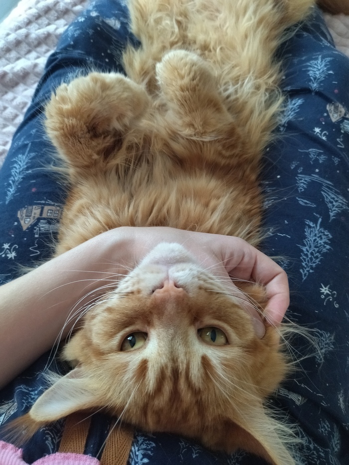   -, ,  , 