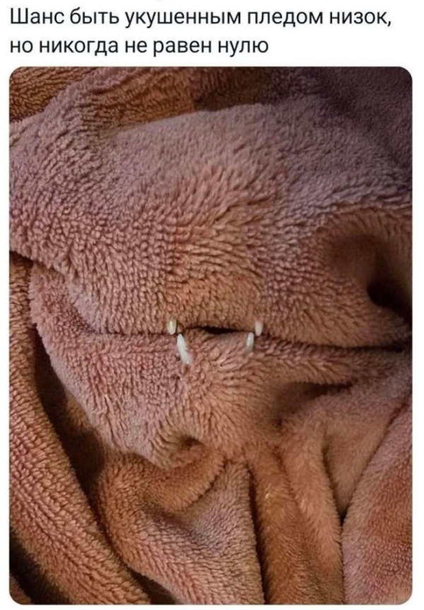   ,   , , , 