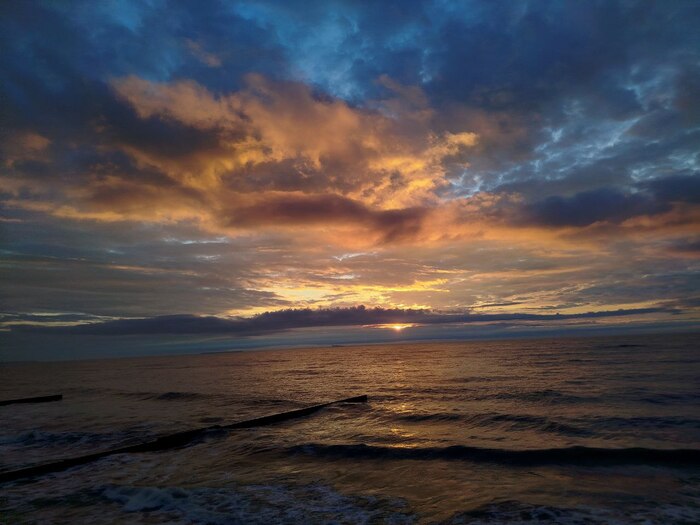 Пролежали на дне сотни лет и почти не сгнили. Почему в Балтийском море затонувшие деревянные корабли хорошо сохранились?
