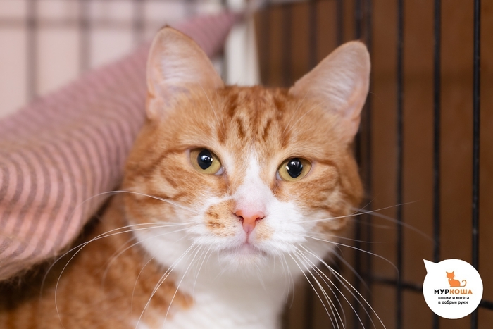   - 2 ,   .  .       - .  ,          ,    .