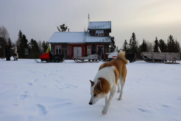 Как живёт деревянный аэропорт на краю Земли и зачем вам туда Путешествия, Аэропорт, Архангельская область, Север, Русский север, Самолет, Ан-2, Авиация, Музей, Путешествие по России, Длиннопост Как живёт деревянный аэропорт на краю Земли и зачем вам туда Путешествия, Аэропорт, Архангельская область, Север, Русский север, Самолет, Ан-2, Авиация, Музей, Путешествие по России, Длиннопост