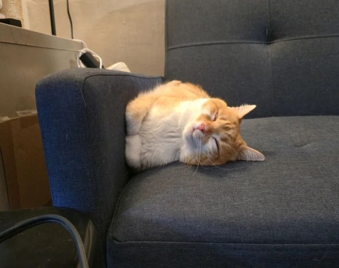  ,   !