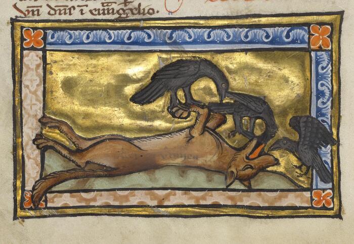  ,  . ,   XV, , . 1270 . -,  . 