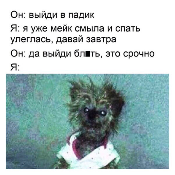 Твои сохраненки ВК #20 ВКонтакте, Мемы, Юмор, Картинка с текстом, Повтор, Длиннопост