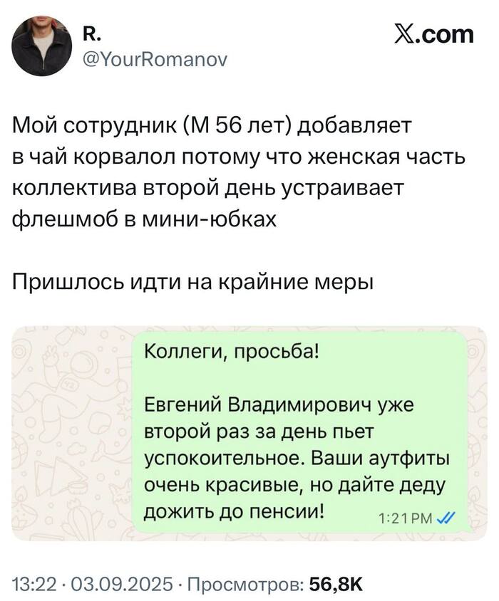     , , X (Twitter), -, , 