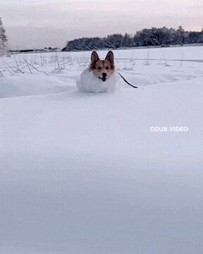      , , , 