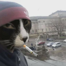 kastelmarra