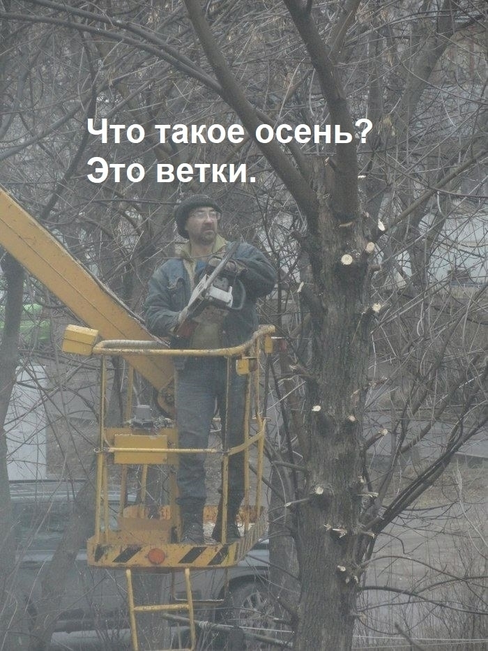    ,  , ,   , , 