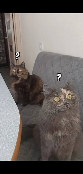   :