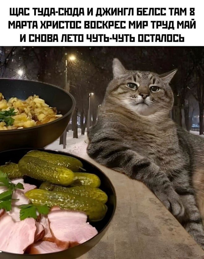 -  , , ,   ,  