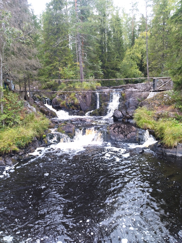      , , 