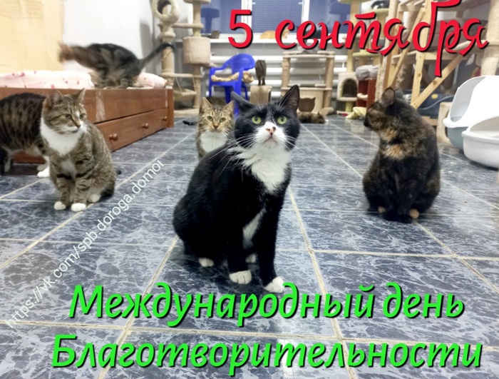 5      , 