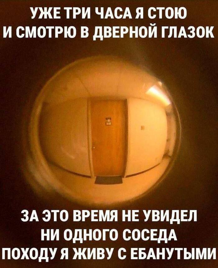    ,   , , ,  , Telegram ()