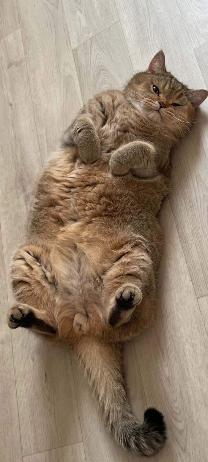     ,  , ,  , 