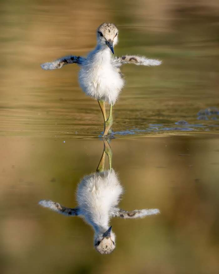     , ,  ,  ,  , 