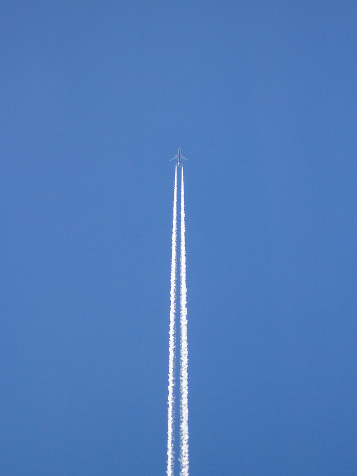 Fly , , 