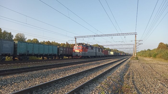 Пост 3591 Кот, Музыка, Фотография, Telegram (ссылка), Видео, Длиннопост